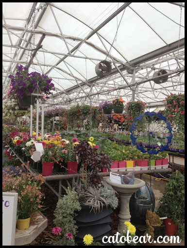 River Street Flowerland