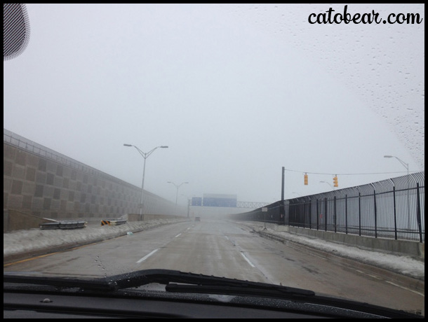 Detroit Metro Airport